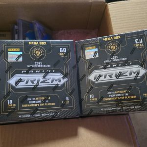 Panini Fifa Club World Cup Blaster Box